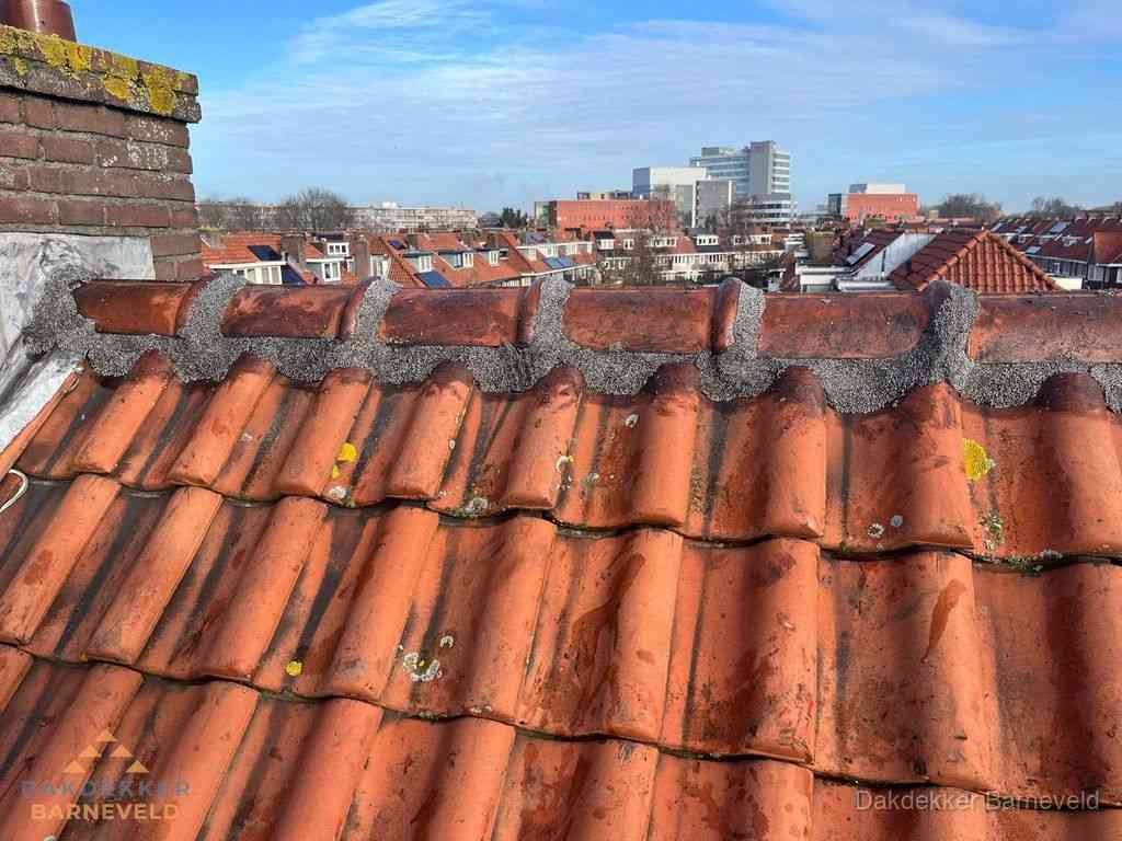 Barneveld Daken Renoveren Barneveld Daken Renoveren